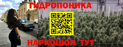 наркотики Сланцы