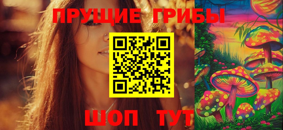 Галлюциногенные грибы GOLDEN TEACHER  Вход с VPN  Моздок 